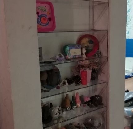 Встраиваемая декоративная полка-стеллаж 1000х420х110 мм (7 полок)